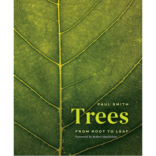 Trees: From Root to Leaf 