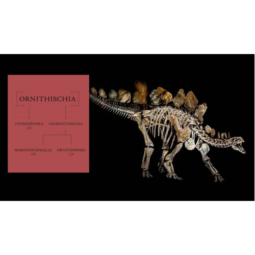 The World of Dinosaurs: AMNH (Inglês) Capa dura