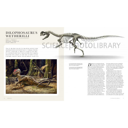 The World of Dinosaurs: AMNH (Inglês) Capa dura