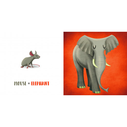 Small And Big Animals (Inglês) Livro cartonado 