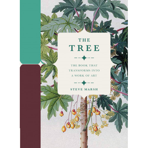 The Tree (Inglês) Capa dura 